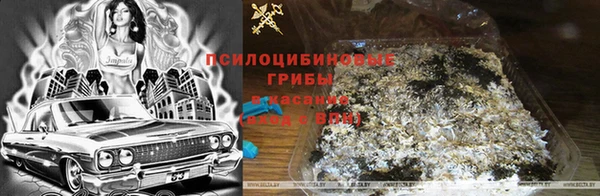 кокаин колумбия Абаза