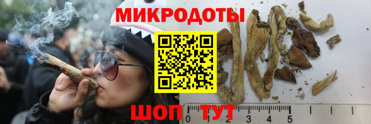 Галлюциногенные грибы MAGIC MUSHROOMS  Вход с VPN  наркотики  Псилоцибиновые грибы MAGIC MUSHROOMS  Троицк 